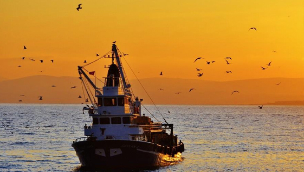 Karadenizli balıkçıların gözü yine Kıbrıs'ta