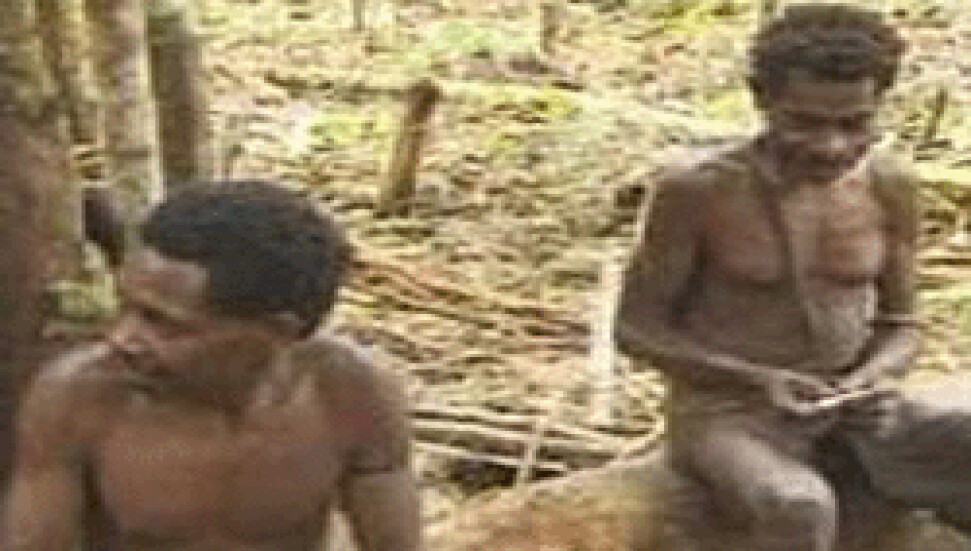 Yamyam Kabile Korowailer İlk Kez Sayıldı