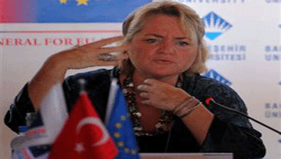 "Türkiye AB'nin viagrası olabilir"