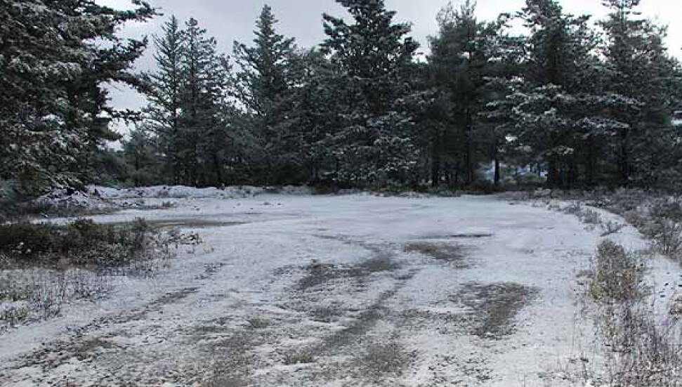 Turkish Cypriot Youths Attacked by Greek-speaking Group in Trodos
