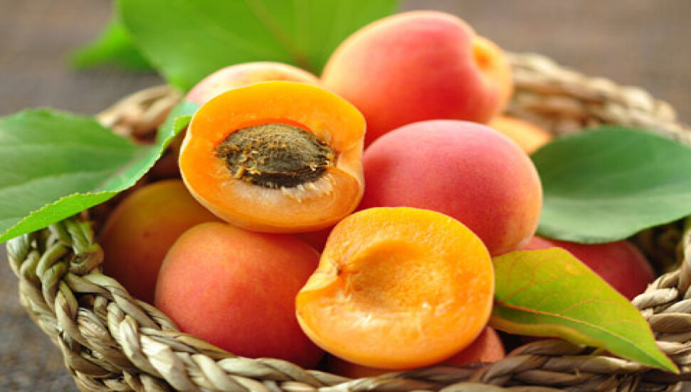 Kuru cilde iyi gelen bitkiler