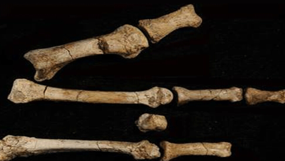 Aziz Yorgonun kemiklerini çalıp eve götürdü