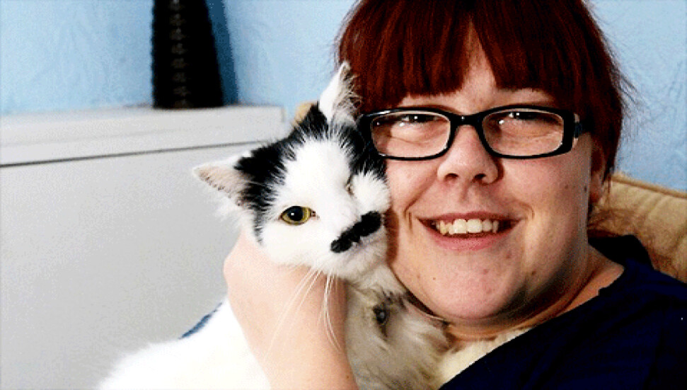 Kediye 'Hitler'e benziyor' işkencesi