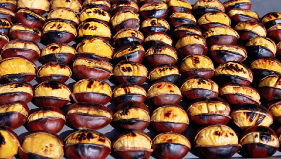 Kestane pişirme yöntemi nedir?