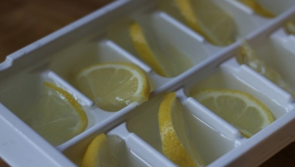 Ne olduğunu görünce artık hayatınız boyunca limonları donduracaksınız