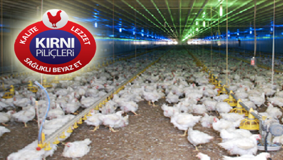 Mustafa Hacı Ali İşletmeleri haklarında çıkan haberleri yalanladı