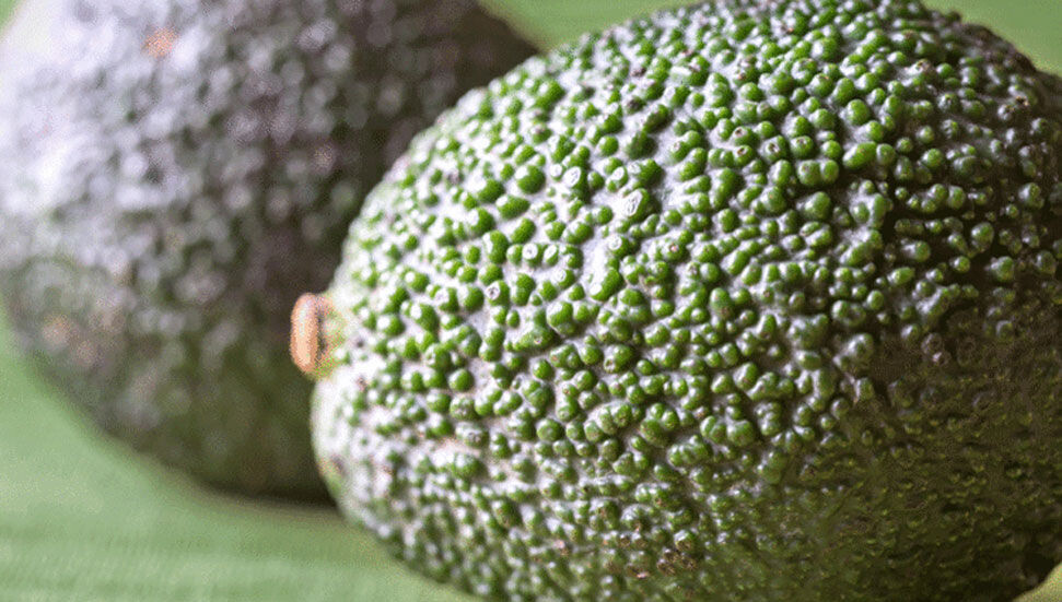 Kolajen içeriği yüksek besinler