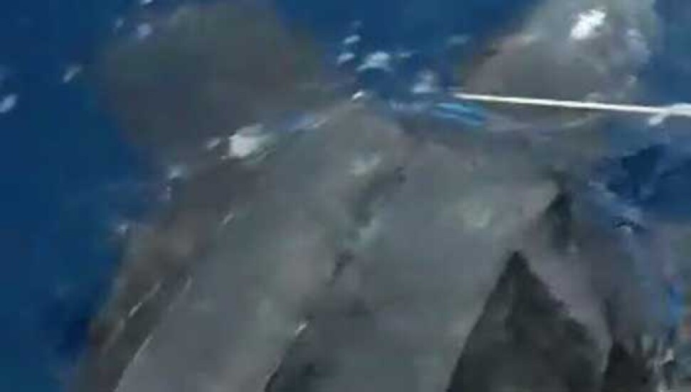 Kuzey Kıbrıs'ta ilk defa deri sırtlı deniz kaplumbağası gözlendi