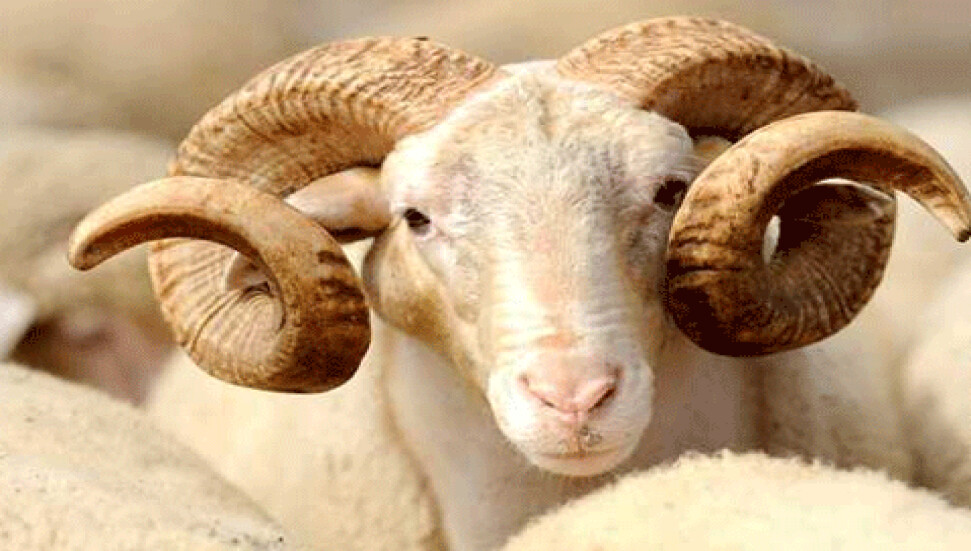 Türkiye'de karar çıktı... Bayram tatili 10 gün...