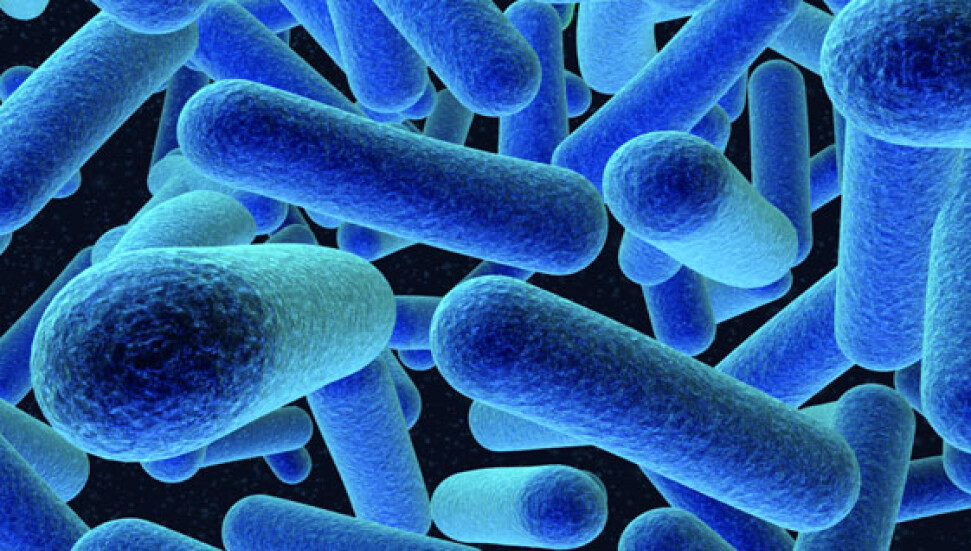 KTTB: "Donmuş gıdalarda listeria monocytogenes bakteri taramasının yapılması çok önemli"