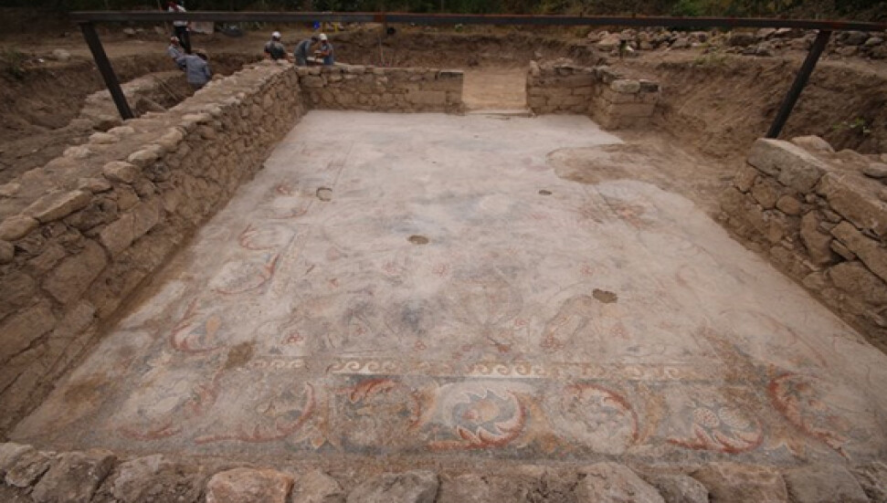 Yonca tarlasında çıkan bin 400 yıllık mozaik koruma altına alındı