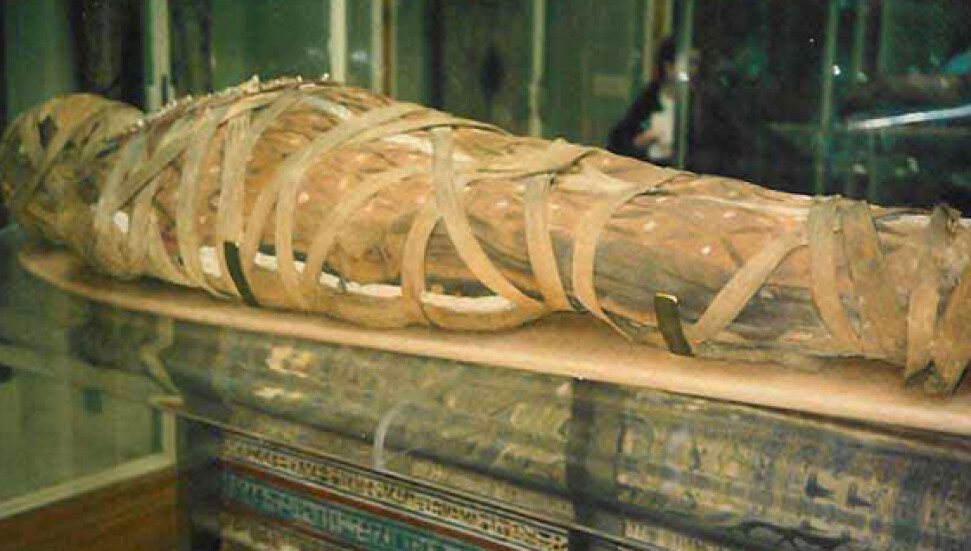 Mısır'ın hediye ettiği iki mumya kayıp