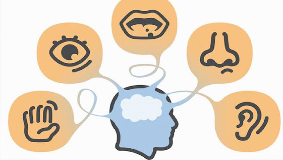 Öğrenince ufkunuzu iki katına çıkaracak, beyin ve duyularla ilgili inanılmaz gerçekler