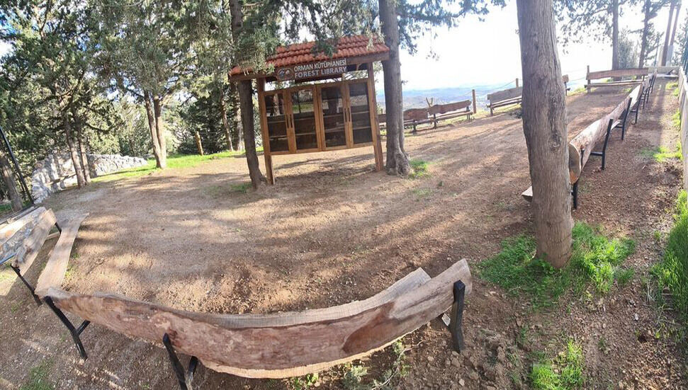 Taşkent Doğa Parkı’nda orman kütüphanesi açılıyor…