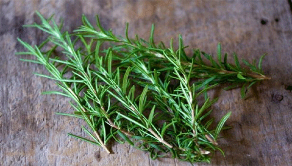 Kilo verdiren baharatlar