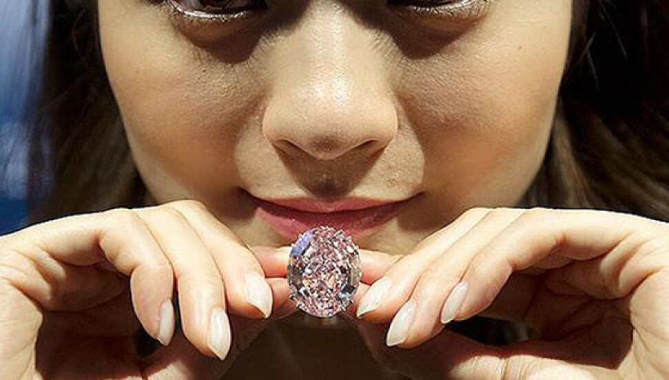 Pembe Yıldız rekor fiyata yeni sahibini buldu