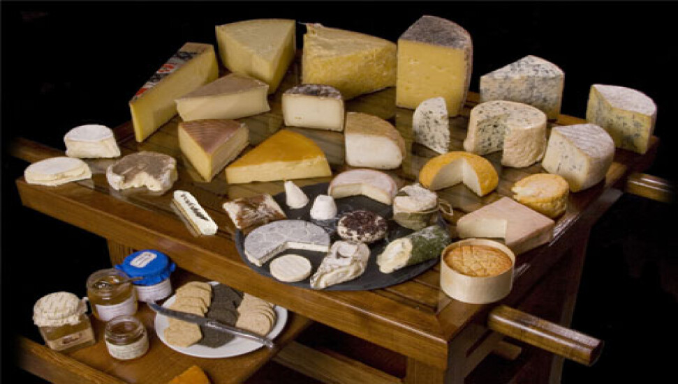 Peynirin inanılmaz faydaları!