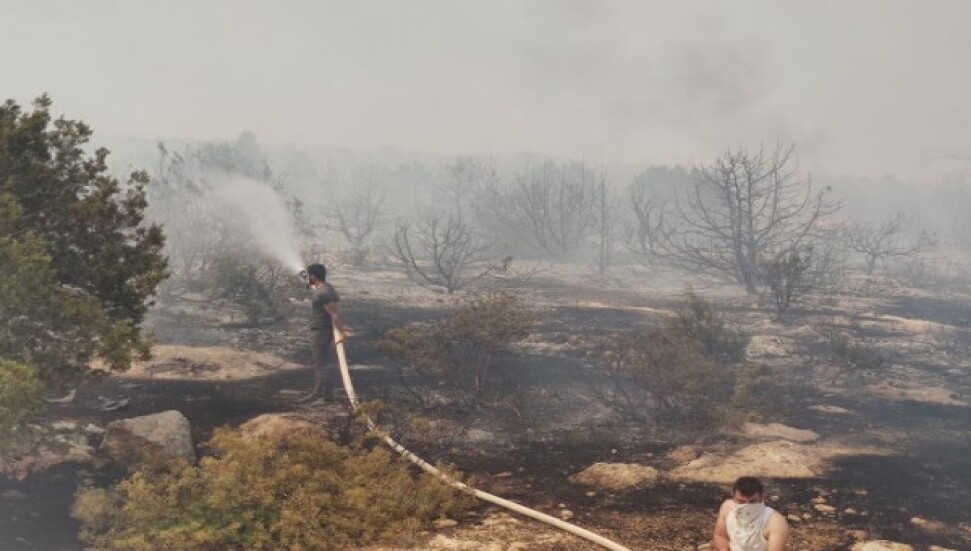 Tepebaşı-Kalkanlı yangınında 7 bin 500 dönüm yandı