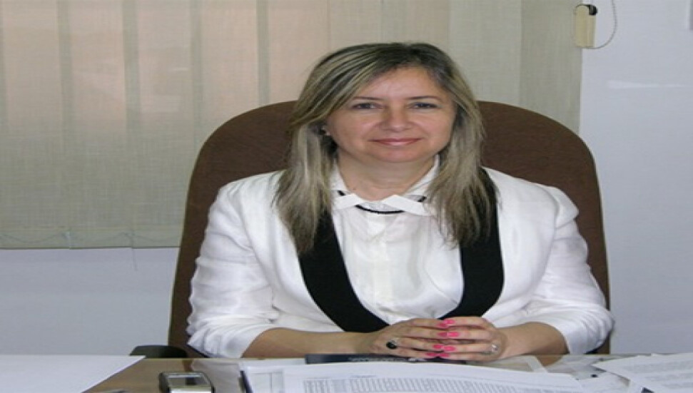 Emine Pilli'nin 18-24 Mayıs 2013 Dünya Müzeler Haftası açıklaması