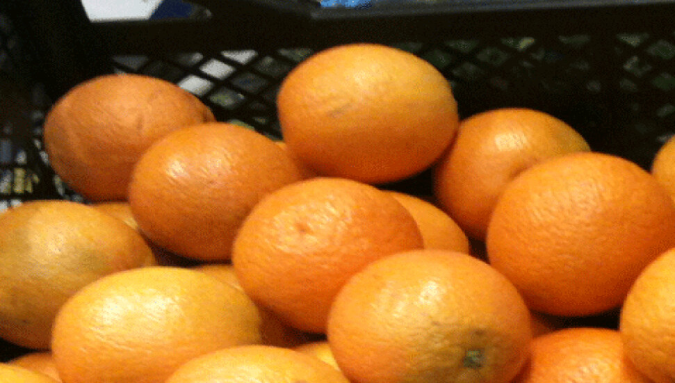 Valenciya ürün kayıpları askı listelerine itiraz süresi bugün doluyor