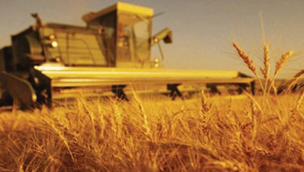 Türkiye'de çiftçiler tedirgin: “Sezonu kaçırırsak bir yıl ürün alamayız”