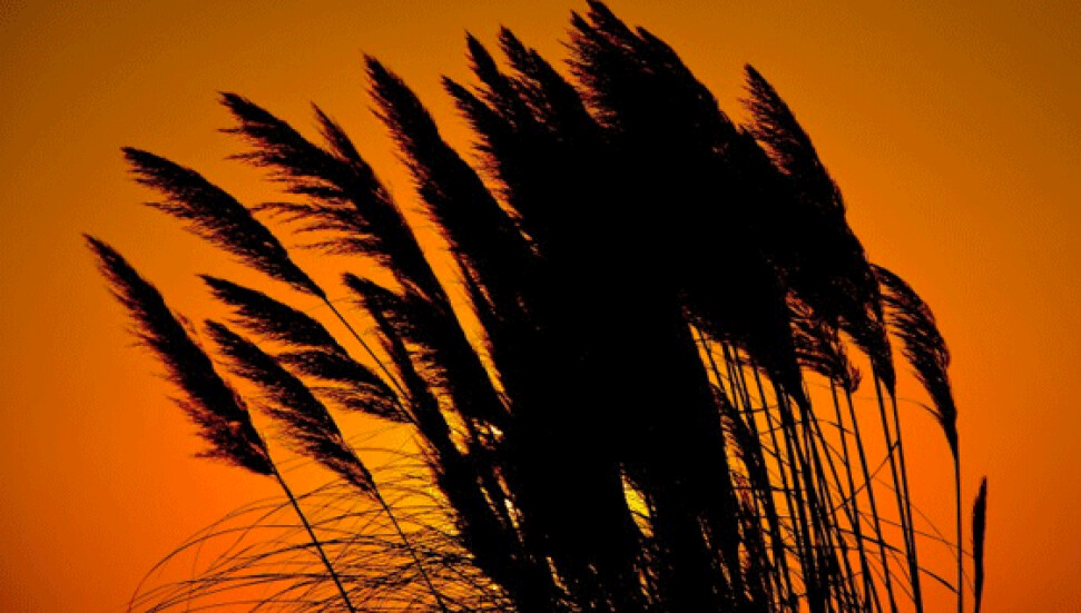 Rüzgârın hızı saatte 108 kilometreye ulaştı