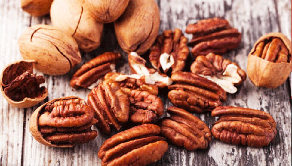 Sağlıklı ve mutlu yaşam sloganı: "Ceviz güldürür, sigara öldürür"