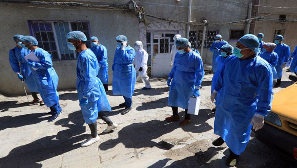 Dünyada '6. kitlesel yok oluş' beklenenden daha hızlı yaşanıyor olabilir