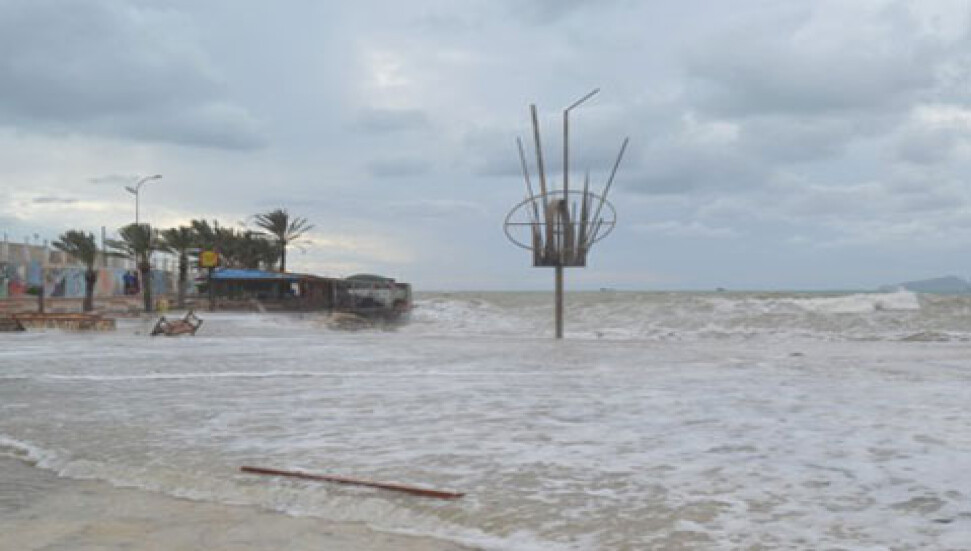 Girne-Taşucu feribot seferlerine başlandı
