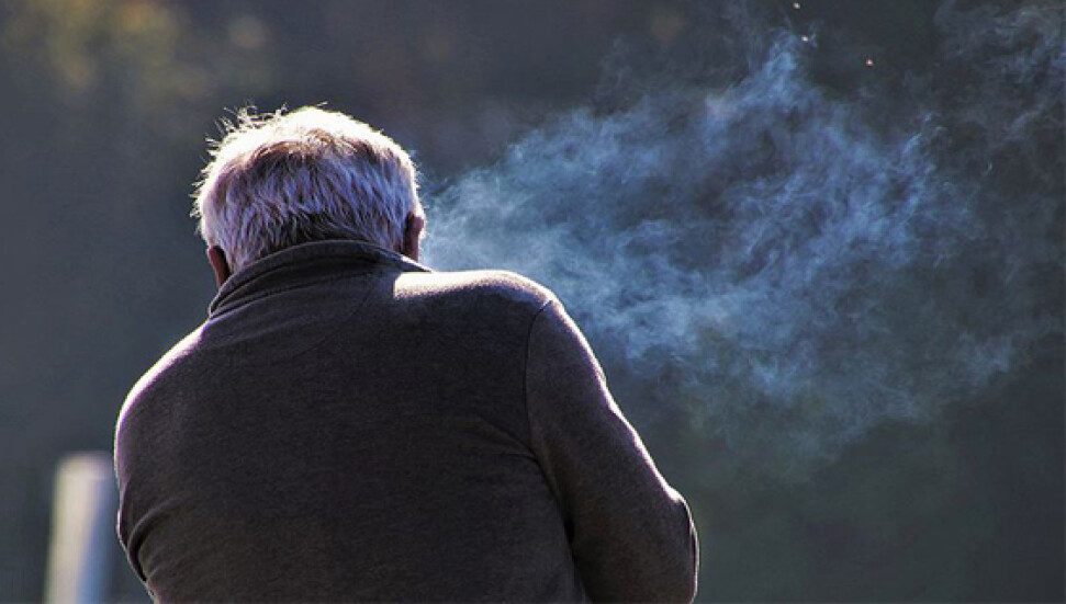 Sigara, akciğer kanseri riskini 30 kat artırıyor...