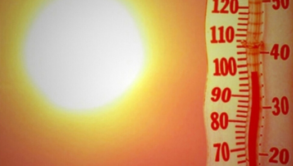 Kavurucu sıcak devam edecek Gölgede 42 derece