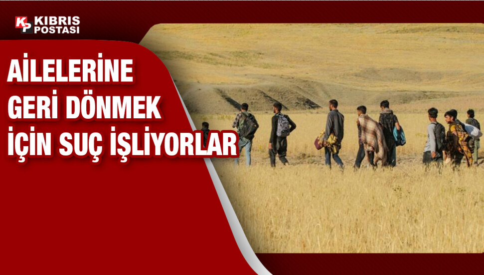 Güney'de mülteci statüsüne alınan Suriyeliler Türkiye'ye geri dönmek için suç işliyor