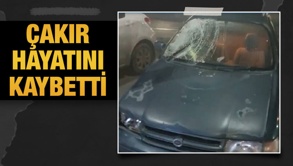 Trafik kazasına bir can daha...