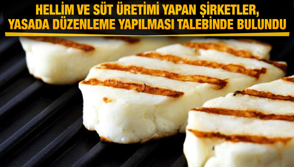 Almanya’da 'Hellim' ismini taşıyan sahte ürünlere el konuldu