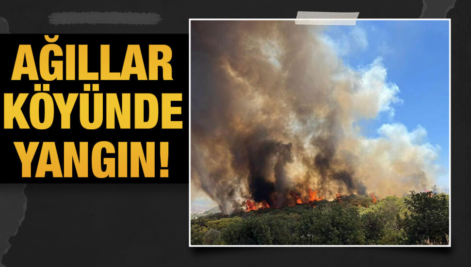 Ağıllar köyünün kuzey doğusunda yangın