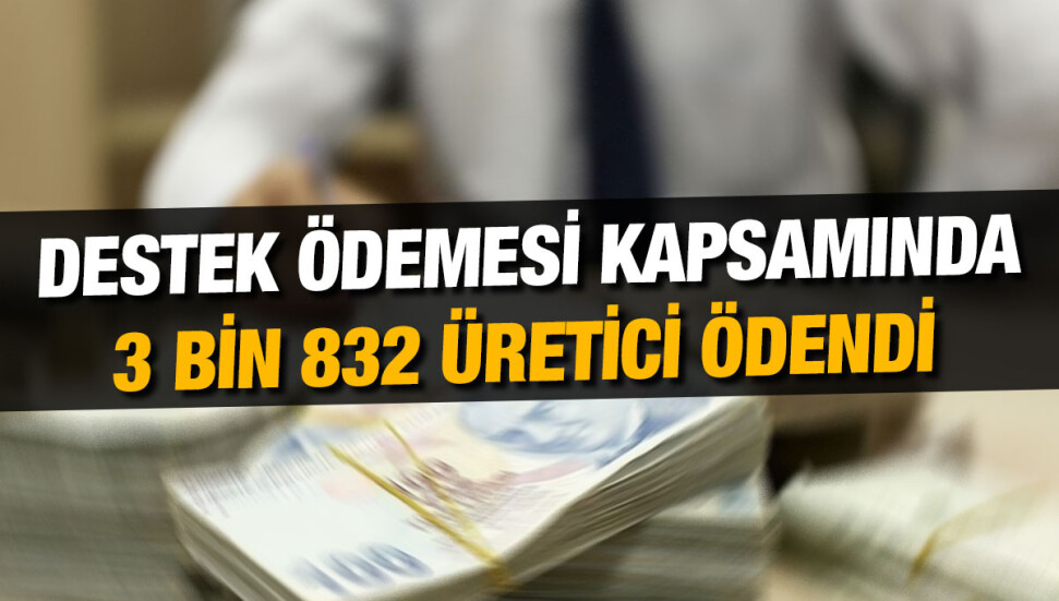 Küçükbaş hayvan üreticilerine 54 milyon TL’lik destek ödendi
