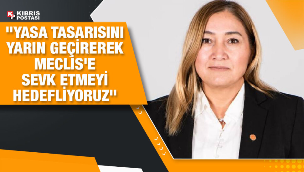 Seçim yasakları süresinin 60'tan 40 güne düşürülmesini içeren tasarı yarın komitede