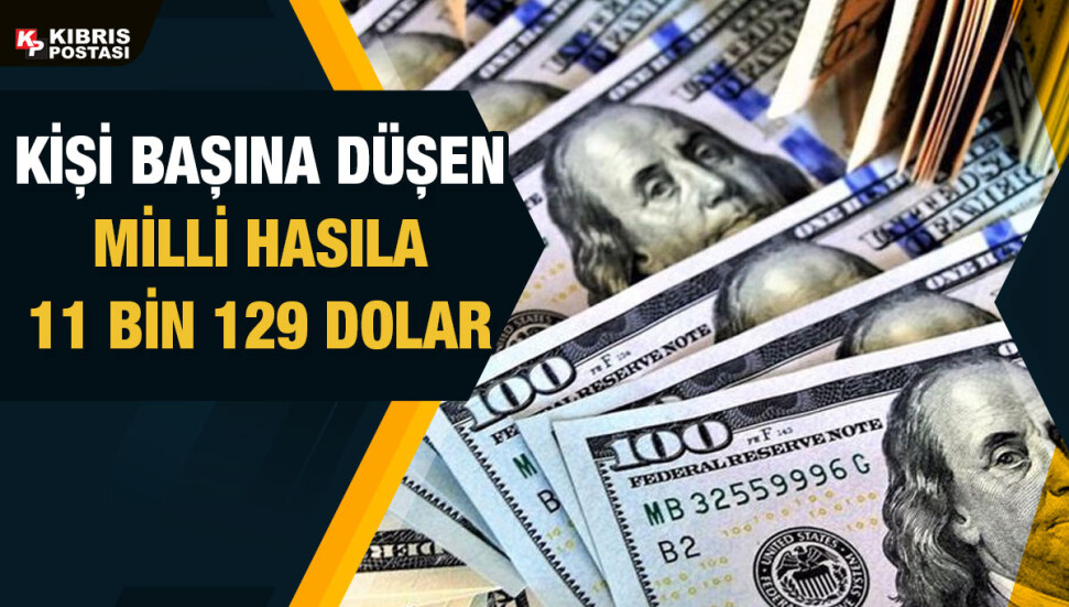 Gayri Safi Yurtiçi Hasıla 2021’de yüzde 3,9 büyüyerek 30 milyar 143 milyon TL oldu