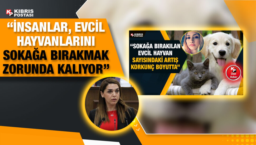 Fide Kürşat: Kedi ve köpek mamaları, hayvan yemi sınıfına girmeli