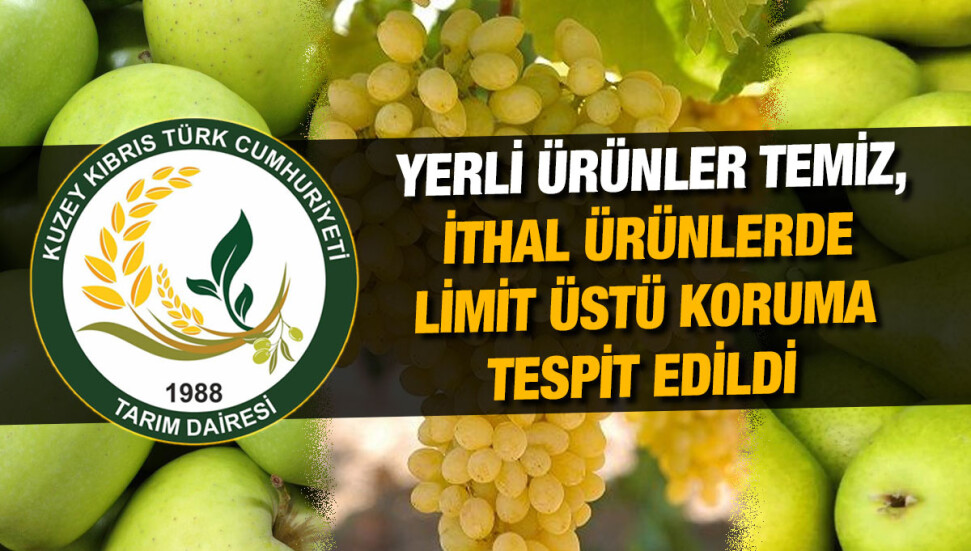 Tarım Dairesi, ithal ürünlerde limit üstü kalıntı tespit etti