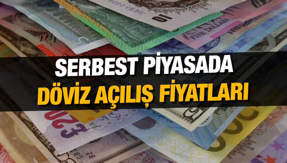 Euro 18,49 liradan, sterlin 21,08 liradan haftaya başladı