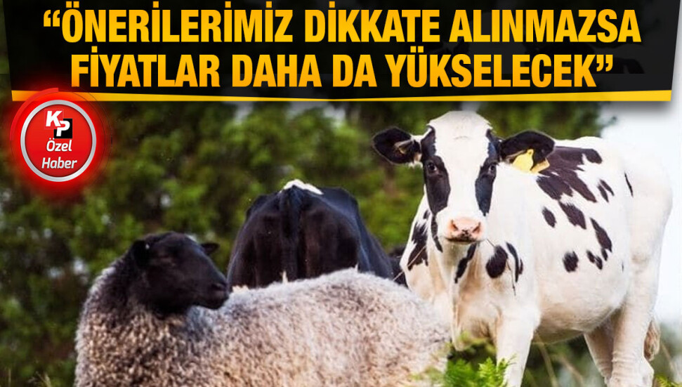 Halil Akbıçak: Tamamen büyük çiftliklerin eline kaldık