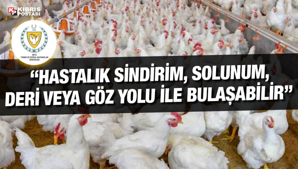 Veteriner Dairesi: Tüm kümes hayvanları kapalı alanlarda tutulmalı