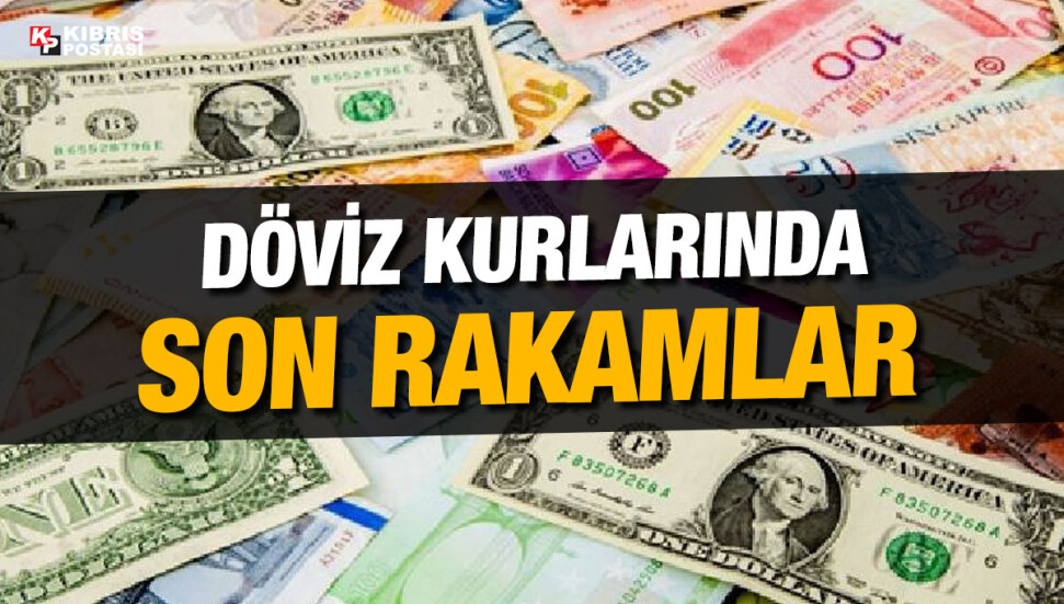 Euro 19,82 liradan, sterlin 22,47 liradan güne başladı