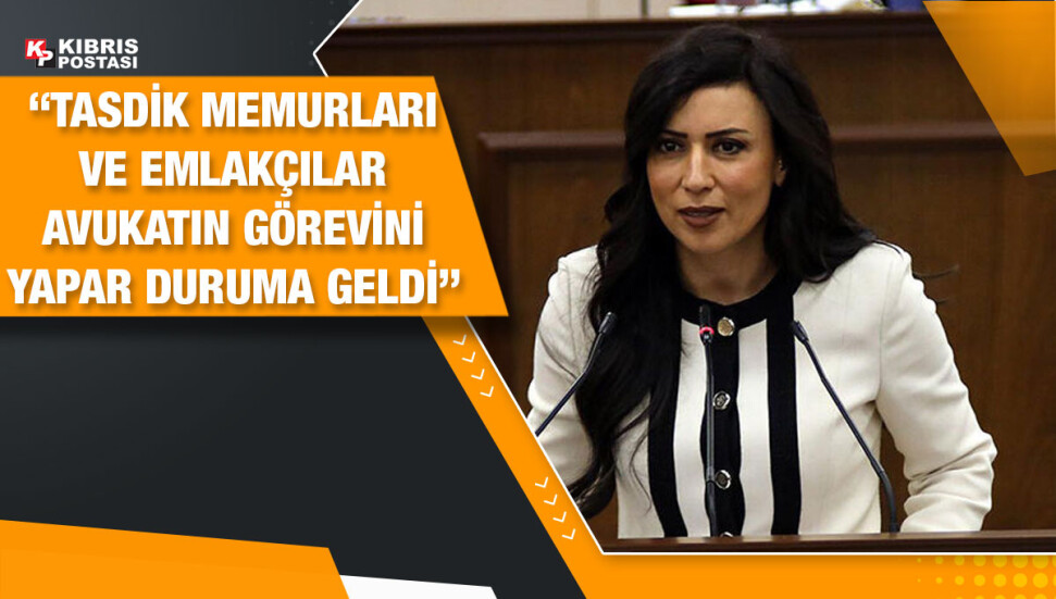 Fazilet Özdenefe: Avukat olmayanlar avukatlık yapıyor, belge hazırlıyor