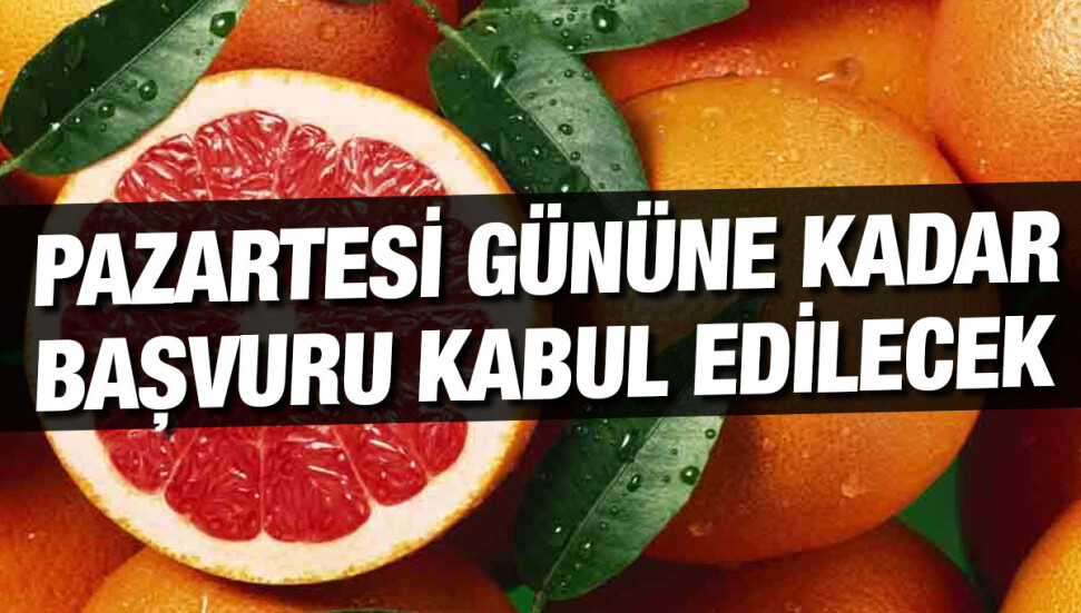 Greyfurt üreticilerine duyuru: Sıkma kalitesinde Greyfrut satmak için son başvuru tarihi 16 Ocak