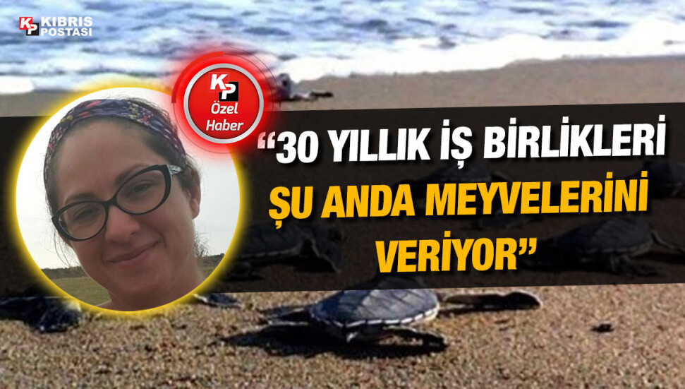 Damla Beton: Alagadi içerisinde yasadışı bir inşaat girişimi başlatılmıştır