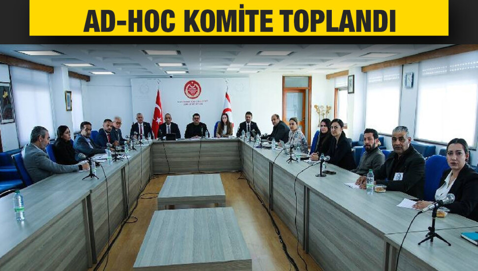 Doğal Afet ve Depremle İlgili Mevzuatın Düzenlenmesine İlişkin Ad-Hoc Komite toplandı