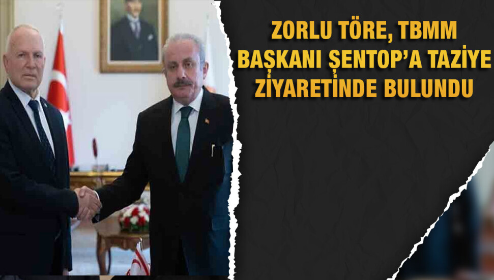 Zorlu Töre: Kaybedilen canlarımız için mutlaka adalet yerini bulmalıdır