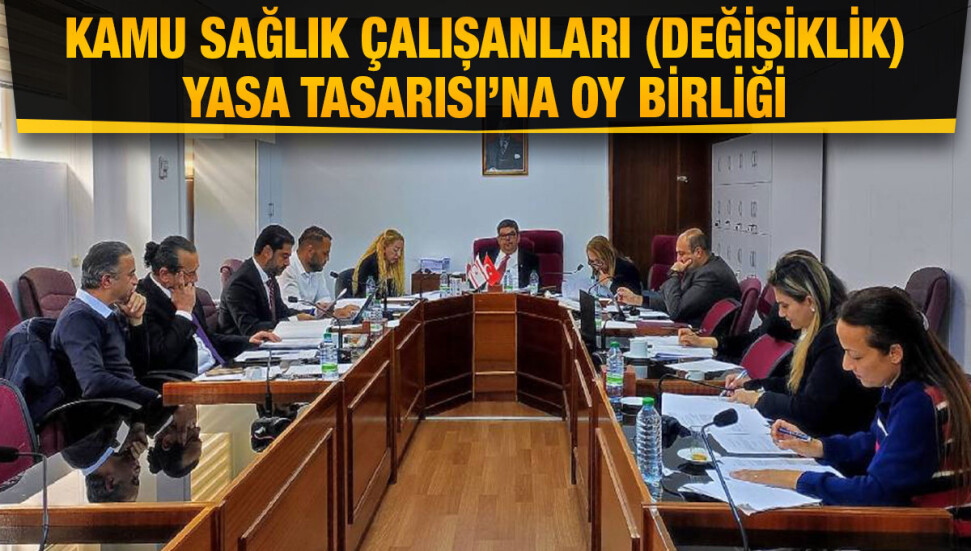 İdari, Kamu ve Sağlık İşleri Komitesi gündemindeki öneri ve tasarıları görüştü